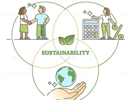 Sustainable Packaging: The Future of the Packaging Industry